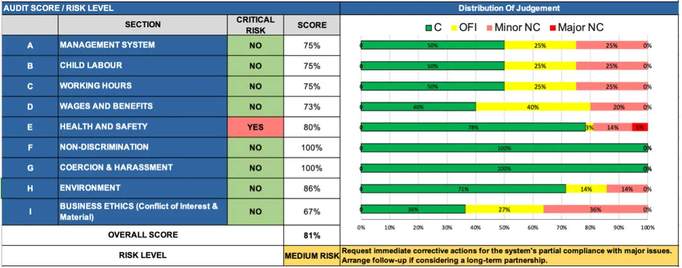 Puntuación y resumen de la Auditoría ESG