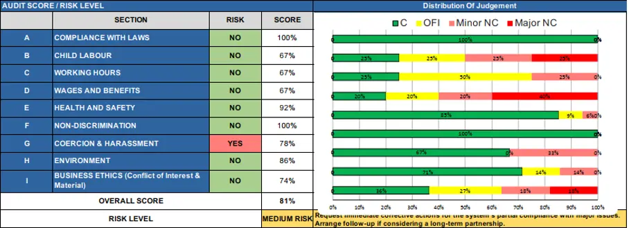 Puntuación y resumen de la Auditoría ESG